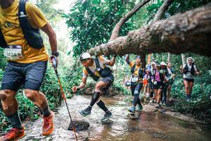 BIB: 
                            <button type="button" onclick="openModal(25370432)" class="btn btn-primary btn-sm float-right btn-popup" data-toggle="modal" data-target=".modal-high-quality">
                        <i class="fas fa-shopping-cart"></i> Add to Cart
                    </button>
                                            <button type="button" onclick="isThisMe(25370432, true)" class="btn btn-success btn-sm float-right btn-popup btn-isme hidden" data-toggle="tooltip" data-placement="bottom" title="นี่คือรูปของคุณใช่ไหม คลิกที่นี่เพื่อเอาเข้าอัลบั้ม">
                        <i class="fas fa-plus"></i> Add to album
                    </button>
                    <button type="button" onclick="isThisMe(25370432, false)" class="btn btn-warning btn-sm float-right btn-popup btn-isnotme hidden">
                        <i class="fas fa-ban"></i> Remove from album
                    </button>